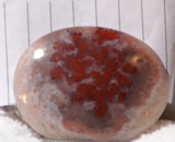 Carey Plume Agate Oval Cabochon 37.5 carats - radiantrocksct