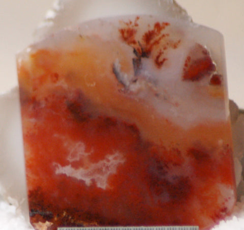 Carey Plume Agate FreeForm Cabochon 79 carats - radiantrocksct