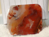 Carey Plume Agate FreeForm Cabochon 79 carats - radiantrocksct