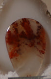 Carey Plume Agate Teardrop Cabochon 23 carats - radiantrocksct