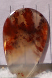 Carey Plume Agate Teardrop Cabochon 23 carats - radiantrocksct