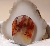 Carey Plume Agate Teardrop Cabochon 23 carats - radiantrocksct