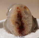 Carey Plume Agate Oval Cabochon 95 carats - radiantrocksct