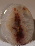 Carey Plume Agate Oval Cabochon 95 carats - radiantrocksct