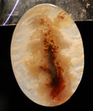 Carey Plume Agate Oval Cabochon 95 carats - radiantrocksct