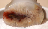 Carey Plume Agate Oval Cabochon 95 carats - radiantrocksct