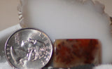 Carey Plume Agate Rectangular Cabochon 16 carats - radiantrocksct