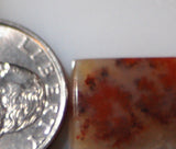 Carey Plume Agate Rectangular Cabochon 16 carats - radiantrocksct