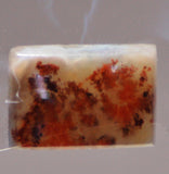 Carey Plume Agate Rectangular Cabochon 16 carats - radiantrocksct