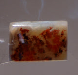 Carey Plume Agate Rectangular Cabochon 16 carats - radiantrocksct