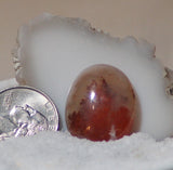 Carey Plume Agate Oval Cabochon 28 carats - radiantrocksct