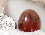 Carey Plume Agate Oval Cabochon 28 carats - radiantrocksct