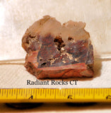 Carey Plume Agate Lapidary  slab 1.1 oz (32 grams) - radiantrocksct