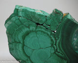 Chatoyant Congo Malachite lapidary slab 11.0 oz (310 grams)