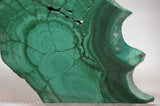 Chatoyant Congo Malachite lapidary slab 11.0 oz (310 grams)
