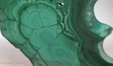 Chatoyant Congo Malachite lapidary slab 11.0 oz (310 grams)