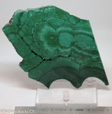 Chatoyant Congo Malachite lapidary slab 11.0 oz (310 grams)
