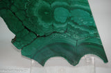 Chatoyant Congo Malachite lapidary slab 11.0 oz (310 grams)