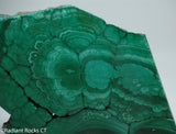 Chatoyant Congo Malachite lapidary slab 11.0 oz (310 grams)