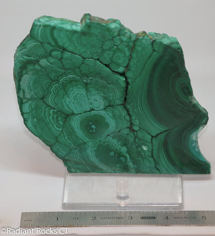 Chatoyant Congo Malachite lapidary slab 15.4 oz (440 grams)