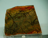 Cherry Creek Jasper Lapidary Slab - Radiant Rocks CT