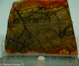 Cherry Creek Jasper Lapidary Slab - Radiant Rocks CT