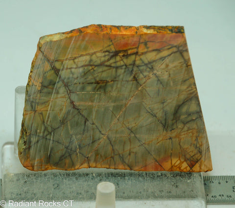 Cherry Creek Jasper Lapidary Slab - Radiant Rocks CT