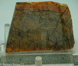 Cherry Creek Jasper Lapidary Slab - Radiant Rocks CT