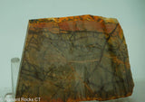 Cherry Creek Jasper Lapidary Slab - Radiant Rocks CT