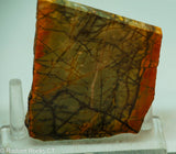 Cherry Creek Jasper Lapidary Slab - Radiant Rocks CT
