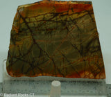 Cherry Creek Jasper Lapidary Slab - Radiant Rocks CT