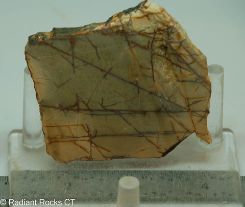 Cherry Creek Jasper Lapidary Slab - Radiant Rocks CT