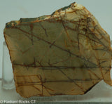 Cherry Creek Jasper Lapidary Slab - Radiant Rocks CT