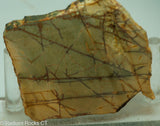 Cherry Creek Jasper Lapidary Slab - Radiant Rocks CT