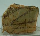 Cherry Creek Jasper Lapidary Slab - Radiant Rocks CT