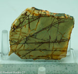 Cherry Creek Jasper Lapidary Slab - Radiant Rocks CT