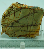 Cherry Creek Jasper Lapidary Slab - Radiant Rocks CT