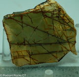 Cherry Creek Jasper Lapidary Slab - Radiant Rocks CT