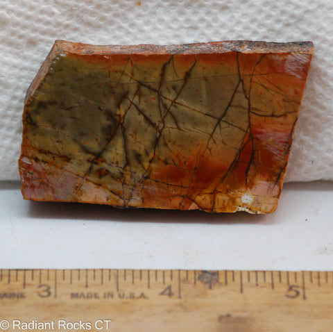 Cherry Creek Jasper Lapidary Slab - Radiant Rocks CT