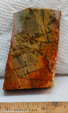 Cherry Creek Jasper Lapidary Slab - Radiant Rocks CT