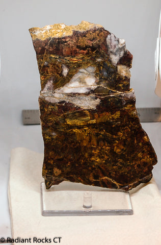 Chinese Pietersite Red Gold Quartz lapidary slab 8.2 oz  (225 grams)