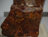 Chinese Pietersite Red Gold Quartz lapidary slab 8.2 oz  (225 grams)