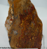 Chinese Pietersite Red Gold Quartz lapidary slab 7.0 oz  (200 grams)