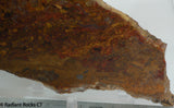Chinese Pietersite Red Gold Quartz lapidary slab 7.0 oz  (200 grams)