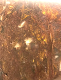 Chinese Pietersite Red Gold lapidary heel slab 17.4 oz  (500 grams) - radiantrocksct