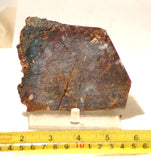 Chinese Pietersite Red Gold lapidary slab 8.2 oz  (230 grams) - radiantrocksct