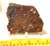 Chinese Pietersite Red Gold lapidary slab 8.2 oz  (230 grams) - radiantrocksct