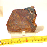 Chinese Pietersite Red Gold lapidary slab 8.2 oz  (230 grams) - radiantrocksct