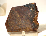 Chinese Pietersite Red Gold lapidary slab 8.2 oz  (230 grams) - radiantrocksct