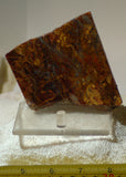 Chinese Pietersite Red Gold 3.0 oz lapidary slab (85 grams) - radiantrocksct